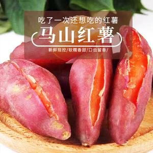 【广西红薯】广西红薯品牌,价格 